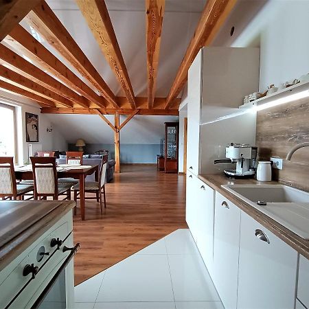 Barytowy Apartament Тарновске-Гуры Экстерьер фото